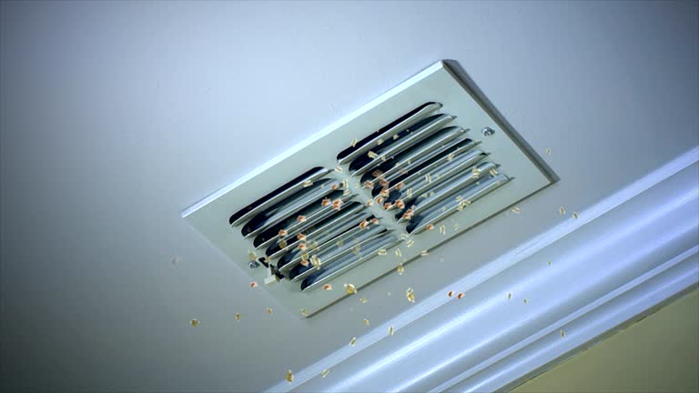 Best Local Air Duct Cleaning Services  in Rankin, TX